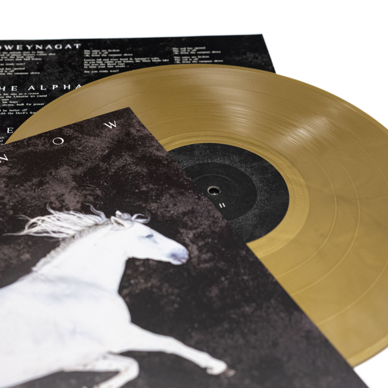 Dool - Here Now, There Then Vinyl LP  |  Gold