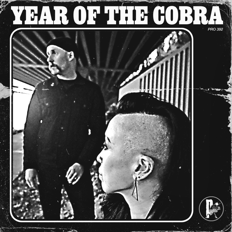 Year Of The Cobra - Year Of The Cobra Vinyl LP  |  Crystal Clear