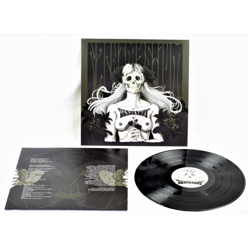 Nachtmystium - Assassins - Black Meddle Pt. I Vinyl LP  |  Black