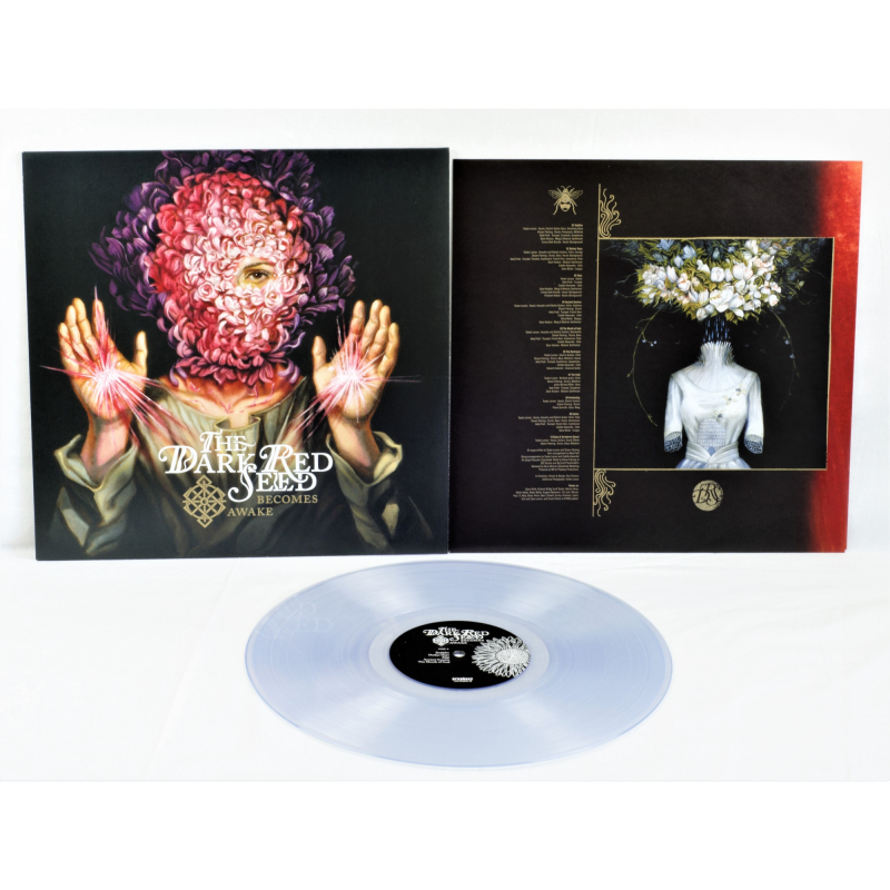 The Dark Red Seed - Becomes Awake Vinyl LP  |  Clear