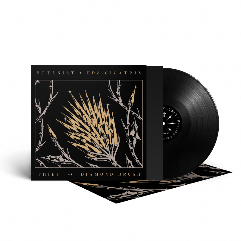 Thief - Cicatrix / Diamond Brush (Split with Botanist) Vinyl LP  |  Black